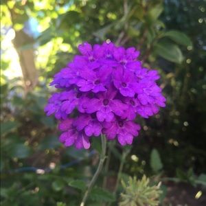 Meet your Posher, Malina